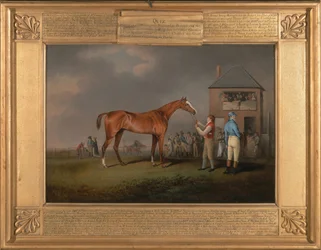 Quiz, nach seinem letzten Rennen in Newmarket